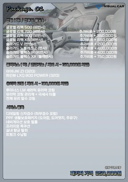 팰리세이드 신차패키지 Package 01 메뉴판 — 패키지 가격 850,000원